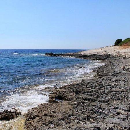 Secluded Fisherman'S Cottage Cove Ripisce, Dugi Otok - 394 Brbinj エクステリア 写真