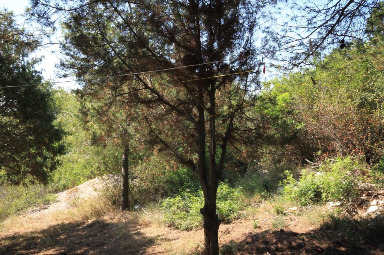 Secluded Fisherman'S Cottage Cove Ripisce, Dugi Otok - 394 Brbinj エクステリア 写真